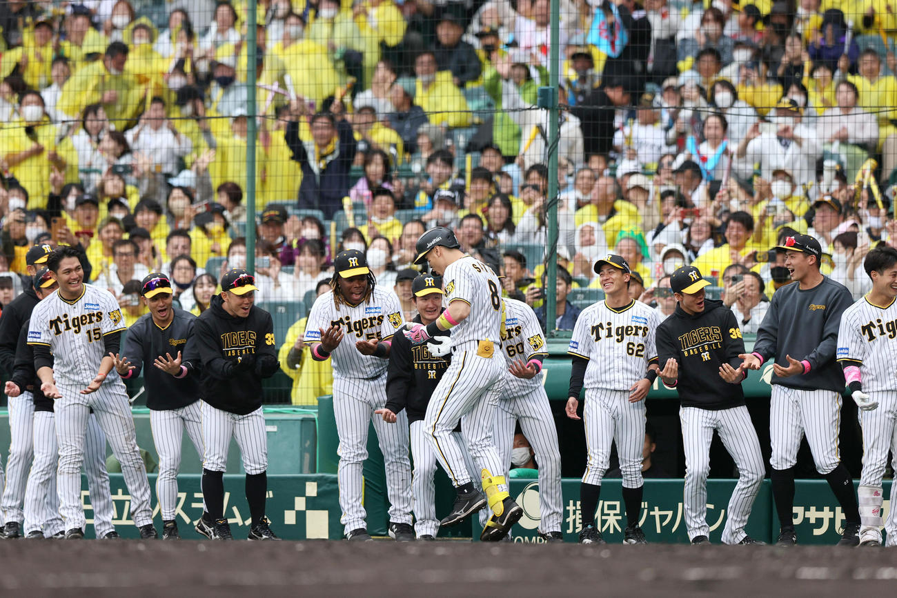 阪神対DeNA 4回裏阪神2死満塁、佐藤輝（手前）は右中間越え満塁本塁打を放ちナインの祝福を受ける（撮影・上山淳一）