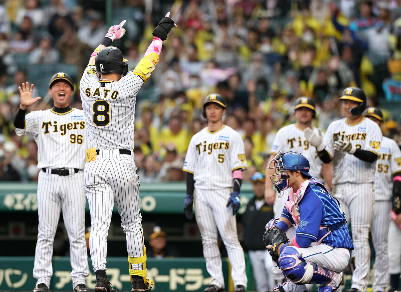阪神対DeNA 4回裏阪神2死満塁、佐藤輝（手前）は右中間越え満塁本塁打を放ちポーズを決め生還する（撮影・上山淳一）