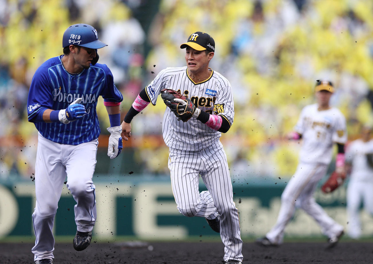 阪神対DeNA 4回表DeNA無死二塁、平良のバントで二走伊藤を二、三塁間で挟みアウトにする遊撃手木浪（中央）（撮影・上山淳一）