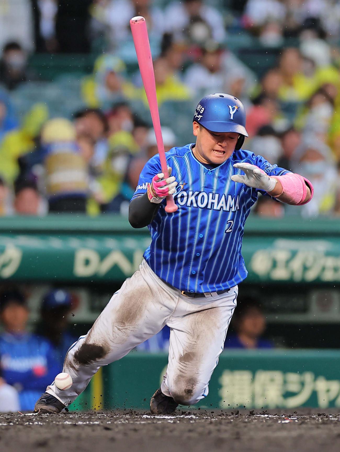 阪神対DeNA 7回表DeNA無死一塁、牧は死球を受ける（撮影・上田博志）