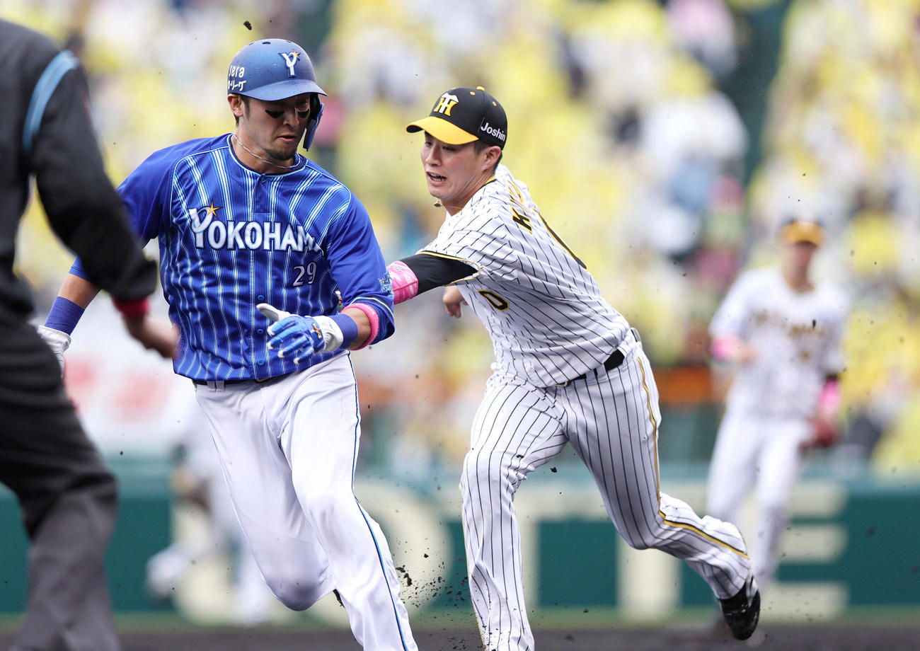 阪神対DeNA 4回表DeNA無死二塁、平良のバントで二走伊藤（左）を二、三塁間で挟みアウトにする遊撃手木浪（撮影・上山淳一）