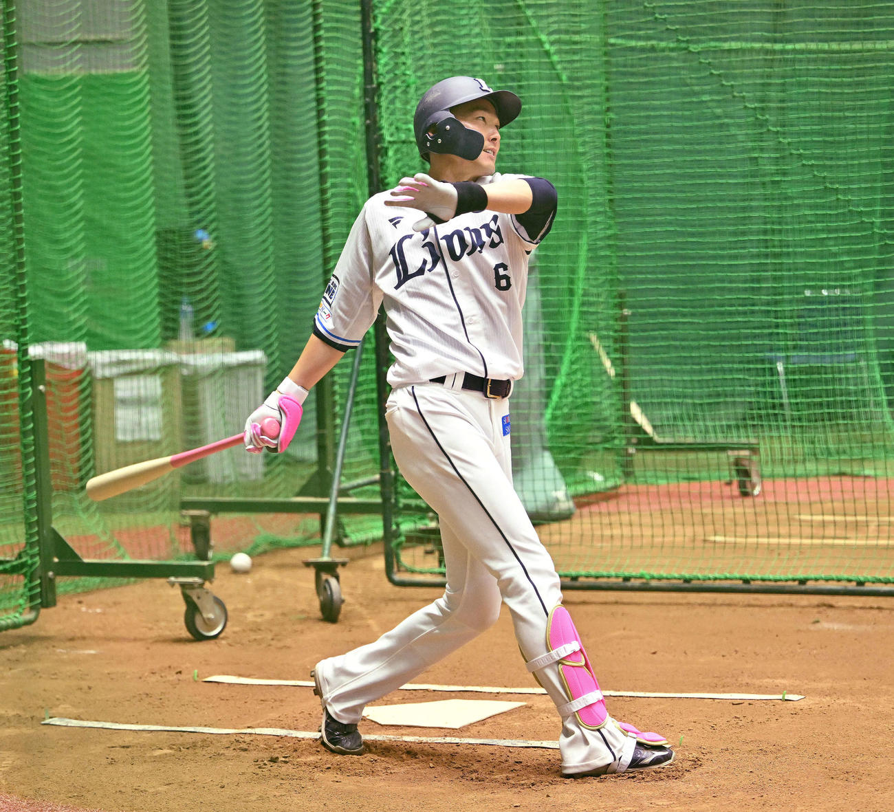母の日にちなみピンク色の用具で調整に臨む西武源田（撮影・滝沢徹郎）