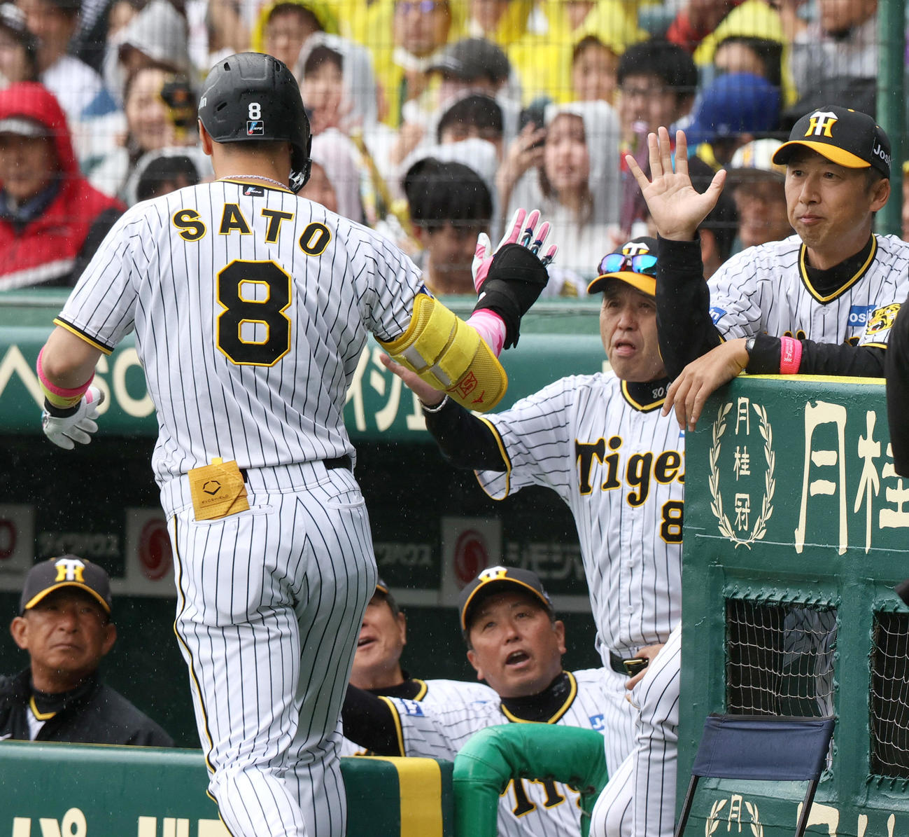 阪神対DeNA 1回裏阪神2死一、二塁、佐藤輝（手前）は先制の右越え3点本塁打を放ち岡田監督（右から2人目）らから出迎えを受ける（撮影・上山淳一）