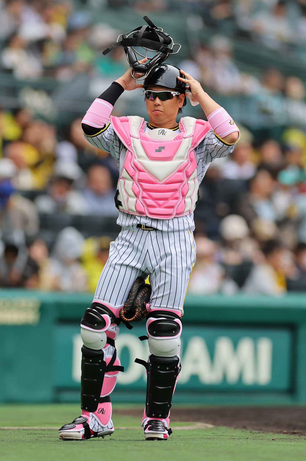 阪神対DeNA　ピンクのプロテクターで出場する梅野隆太郎（撮影・上田博志）