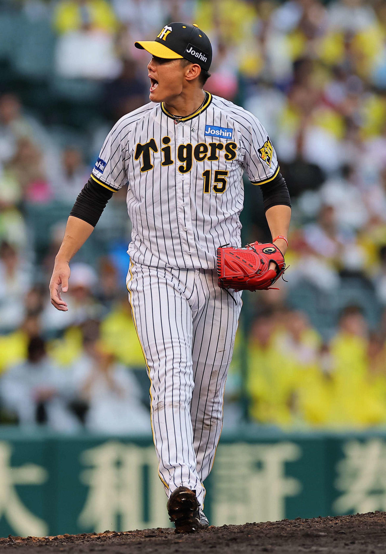 阪神対DeNA 5回表DeNA無死、宮崎から三振を奪い雄たけびを上げる西純（撮影・上田博志）