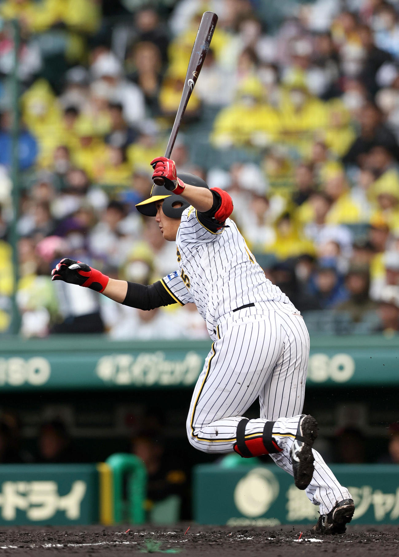 阪神対DeNA 4回裏阪神1死二塁、西純は中前打を放つ（撮影・上山淳一）