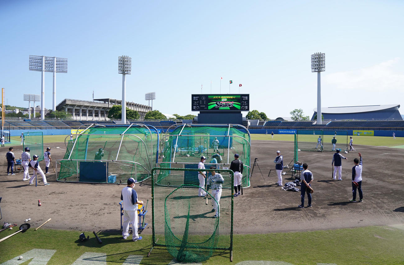 ヤクルト対巨人　静岡草薙球場の全景（撮影・横山健太）