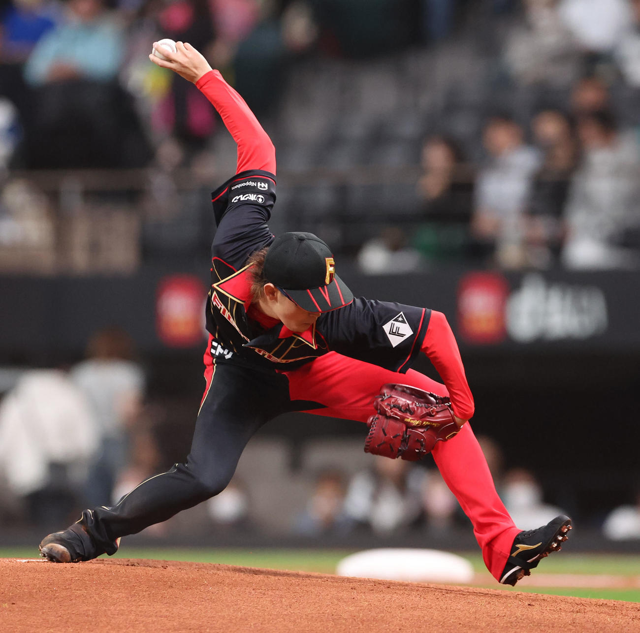 日本ハム対西武　日本ハム先発の鈴木（撮影・佐藤翔太）