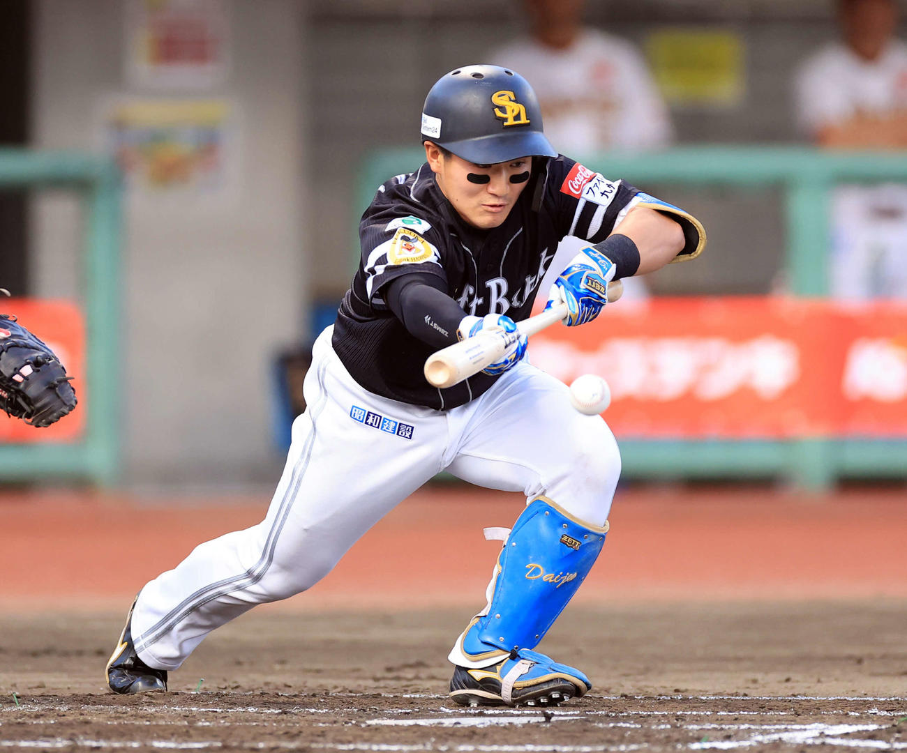 楽天対ソフトバンク　2回表ソフトバンク無死一、二塁、野村大は送りバントを決める（撮影・浅見桂子）
