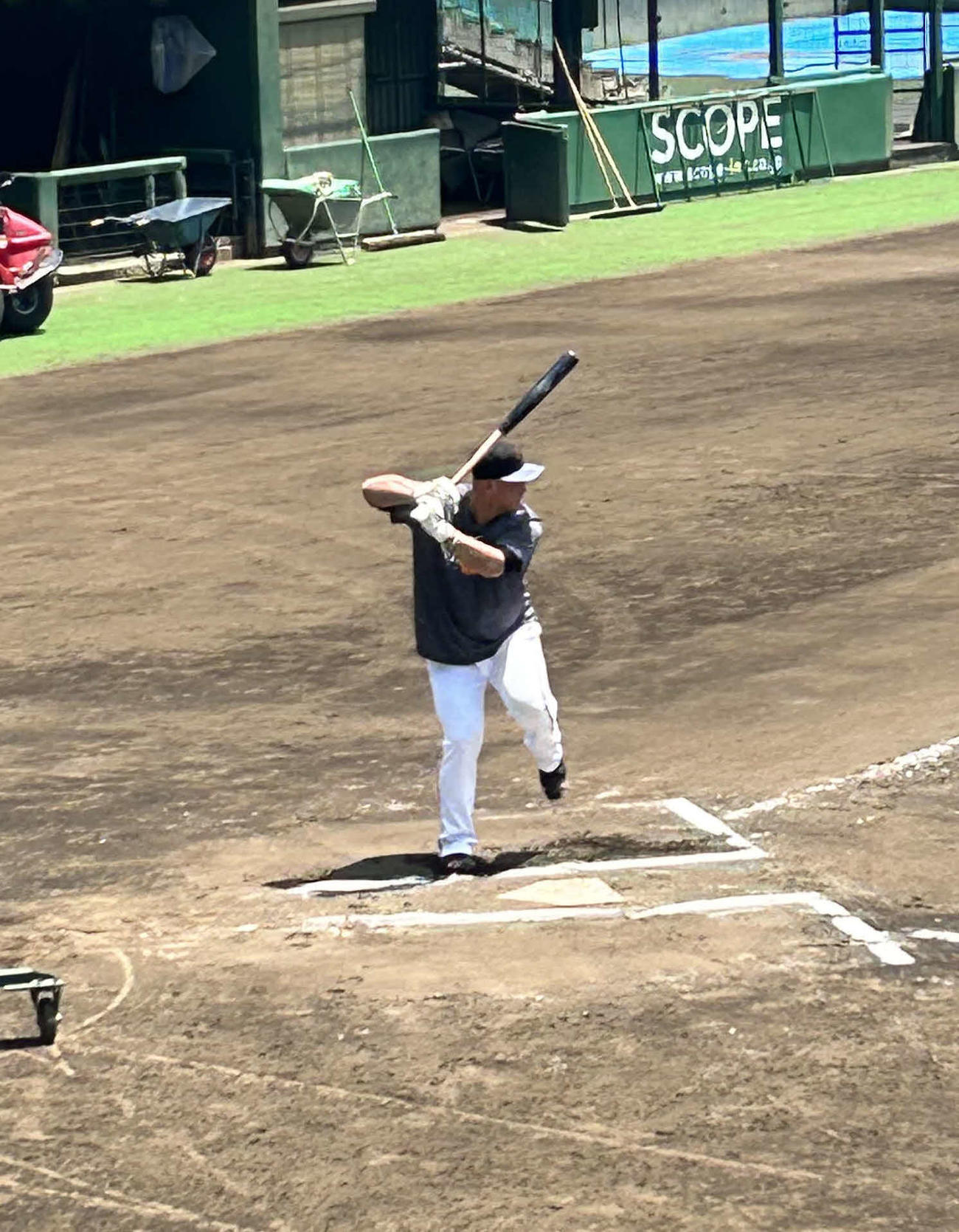 フリー打撃をする巨人中田翔（撮影・上田悠太）