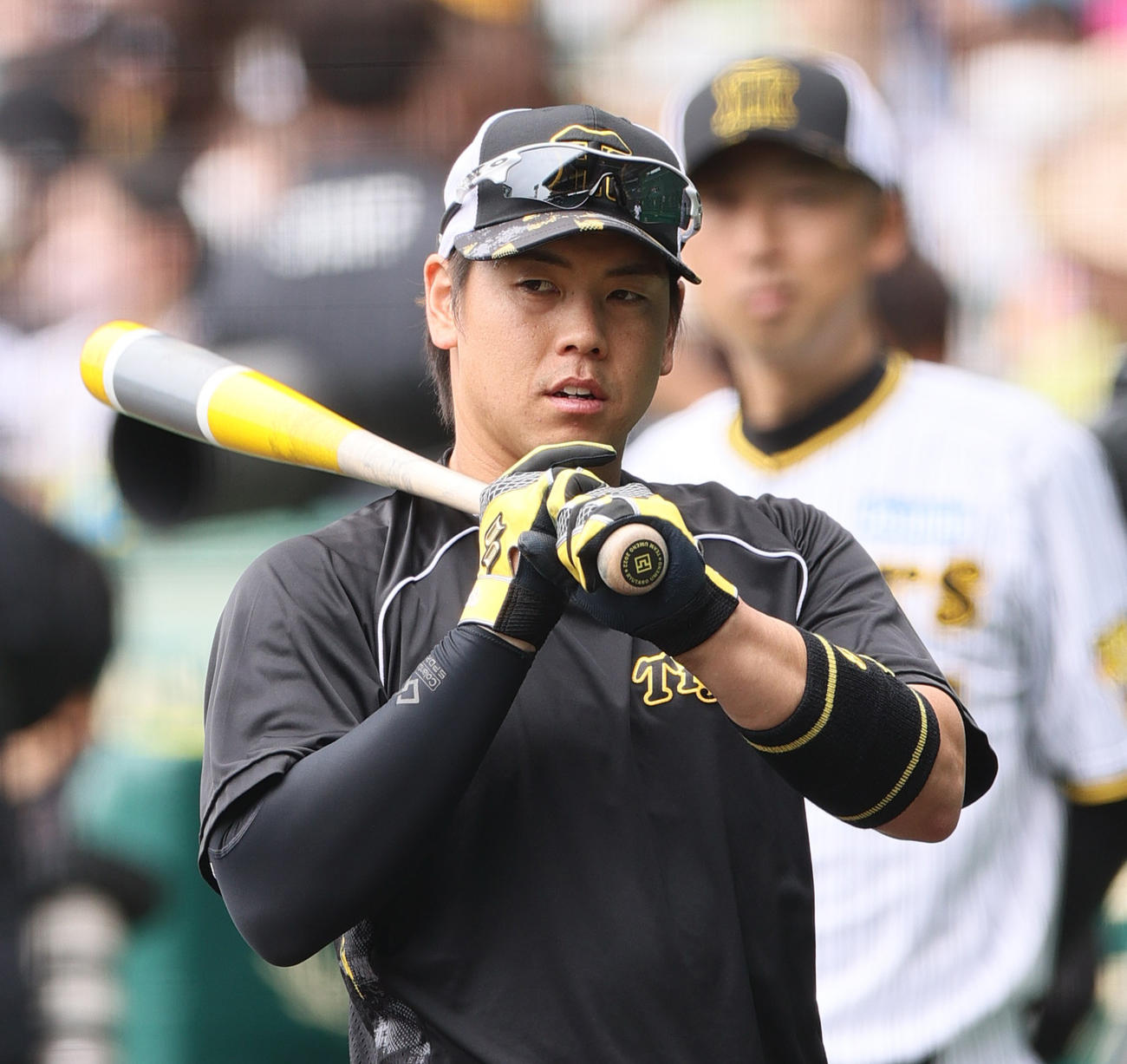 阪神梅野（2023年5月13日撮影）