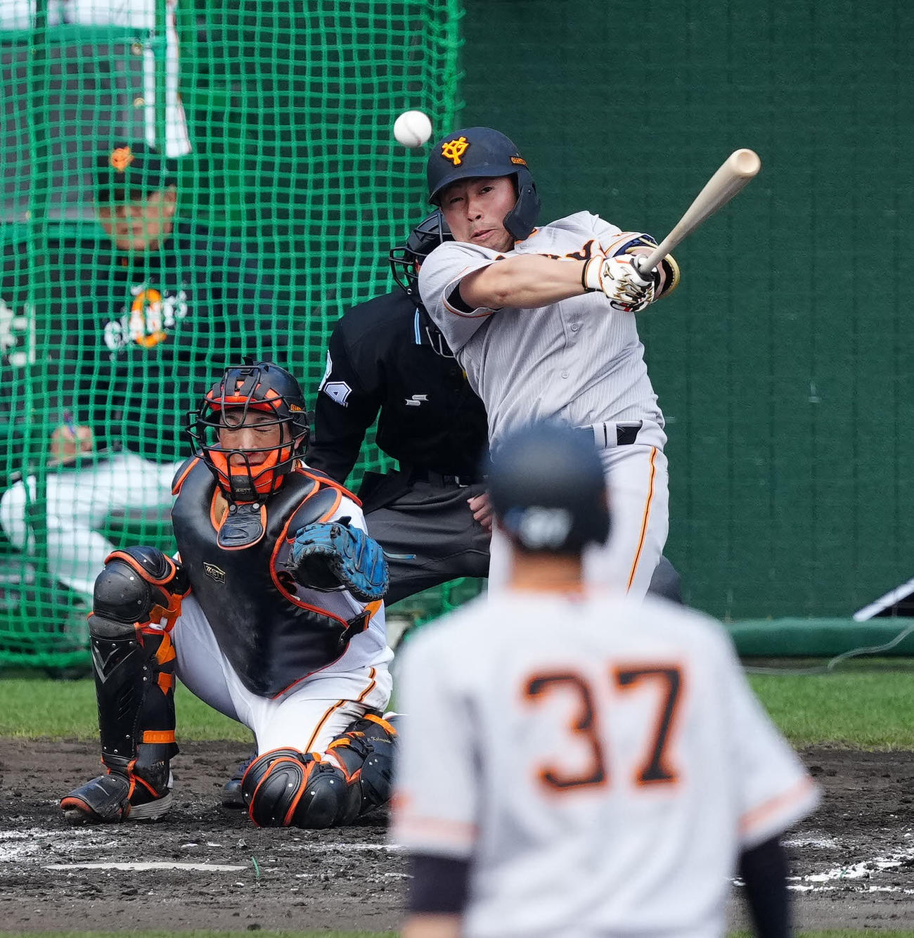 巨人浅野翔吾（2023年2月12日撮影）