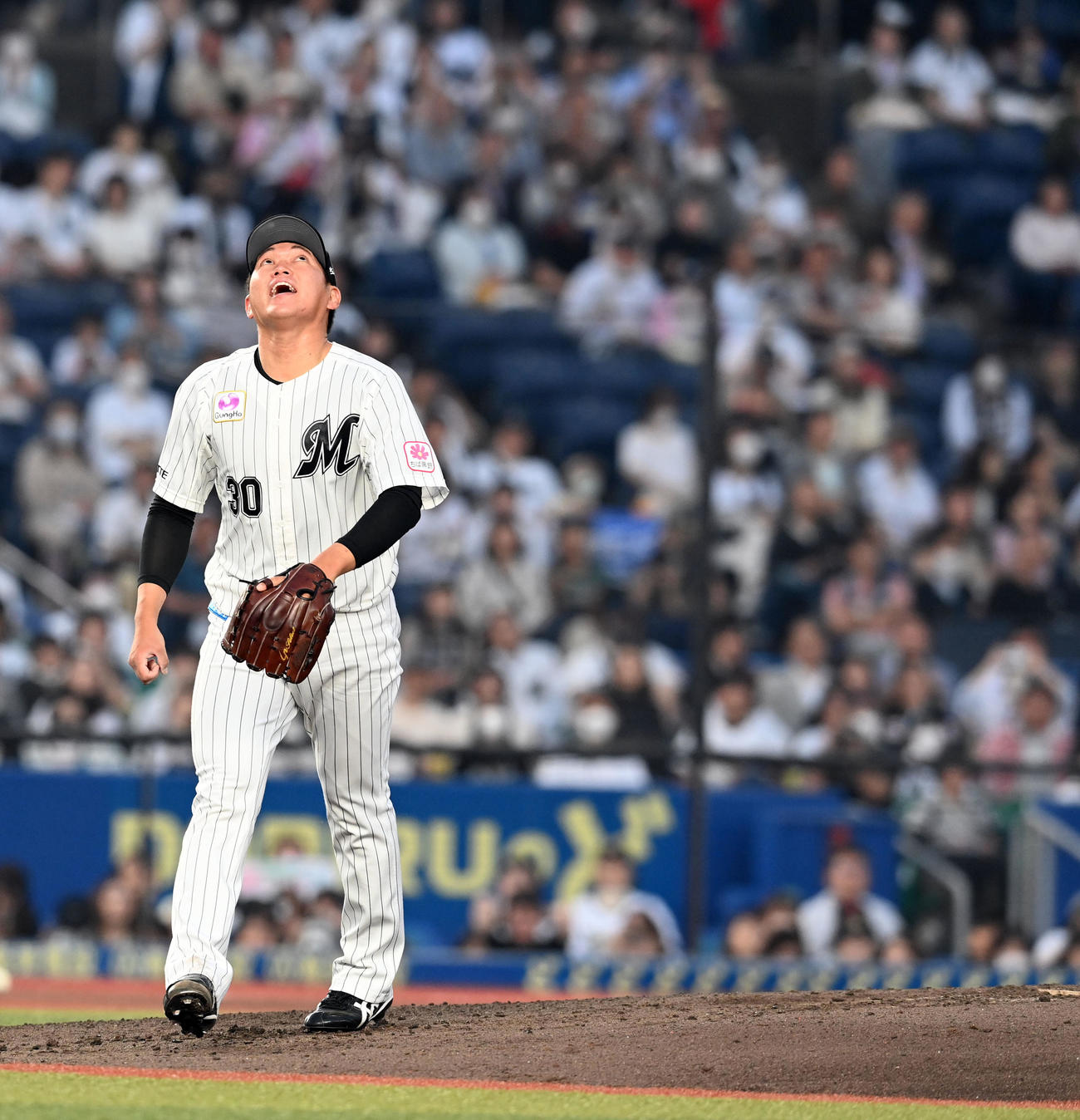 ロッテ対オリックス　2回表オリックス2死、紅林を右飛に打ち取る広畑（撮影・たえ見朱実）
