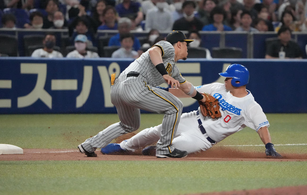 中日対阪神　8回裏中日2死一、二塁、三塁を狙うもタッチアウトの一走細川。左は三塁手佐藤輝（撮影・森本幸一）
