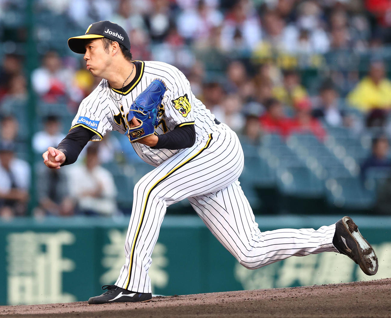 阪神対広島　広島戦に先発した阪神青柳（撮影・藤尾明華）