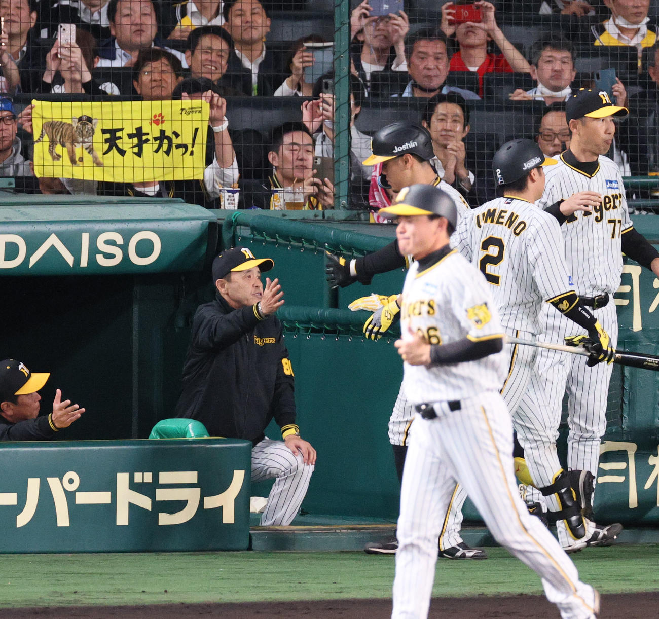 阪神対広島　4回裏阪神無死、佐藤輝（右から3人目）は中越えソロ本塁打を放ち、岡田監督（左から2人目）らから迎えられる（撮影・上山淳一）