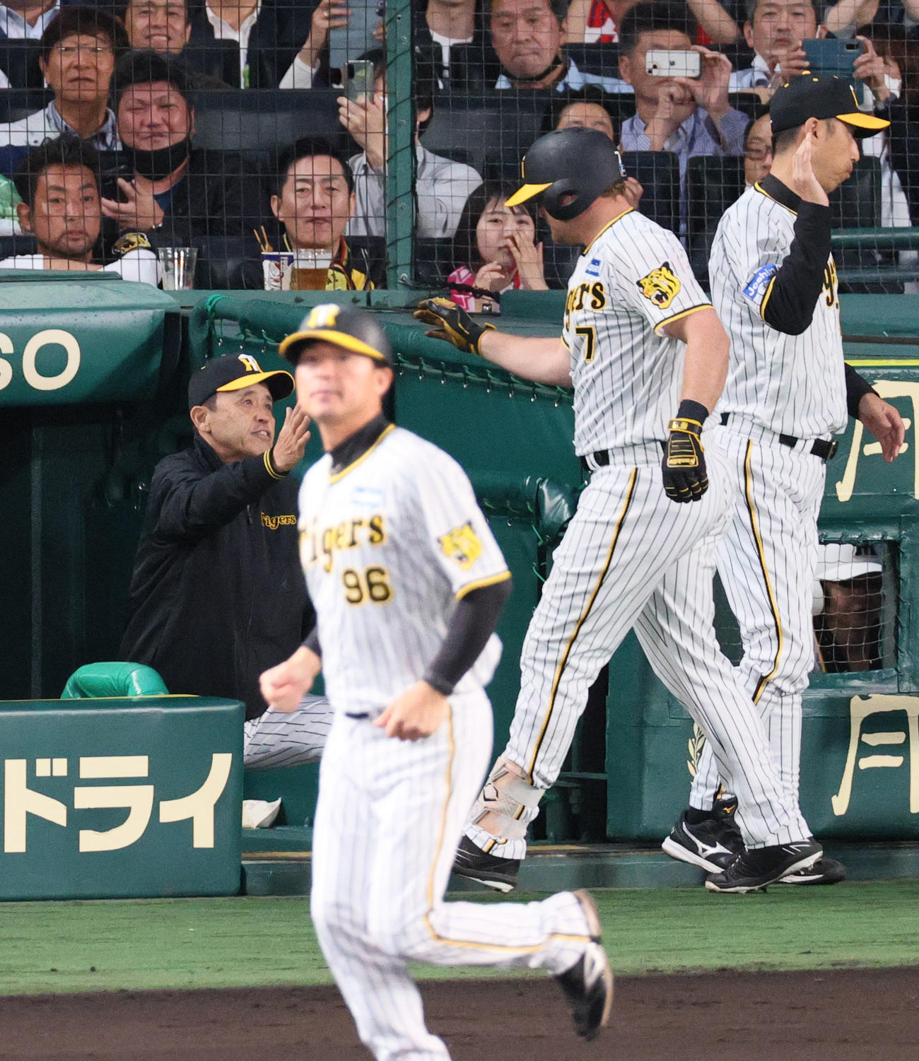阪神対広島　3回裏阪神2死、ノイジー（右から2人目）は左越えソロ本塁打を放ち、岡田監督（左）らから迎えられる（撮影・上山淳一）