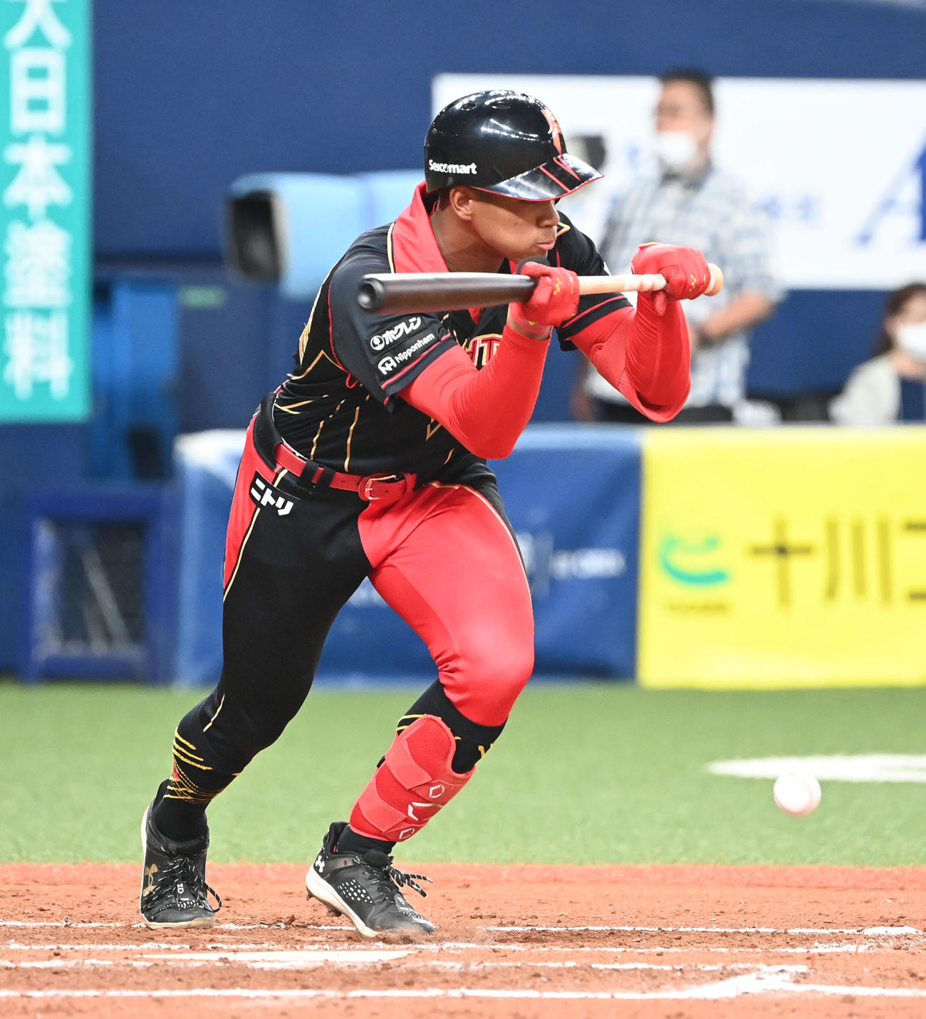 オリックス対日本ハム　8回表日本ハム無死一、二塁、投前犠打を決める万波（撮影・和賀正仁）