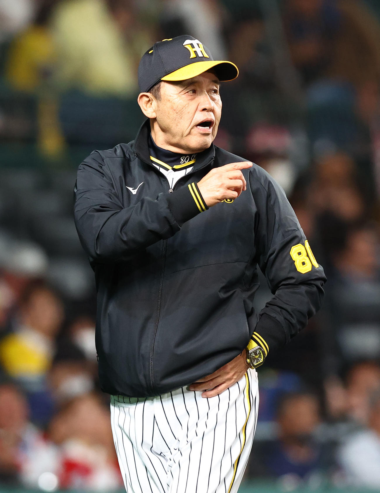 阪神岡田監督（撮影・藤尾明華）