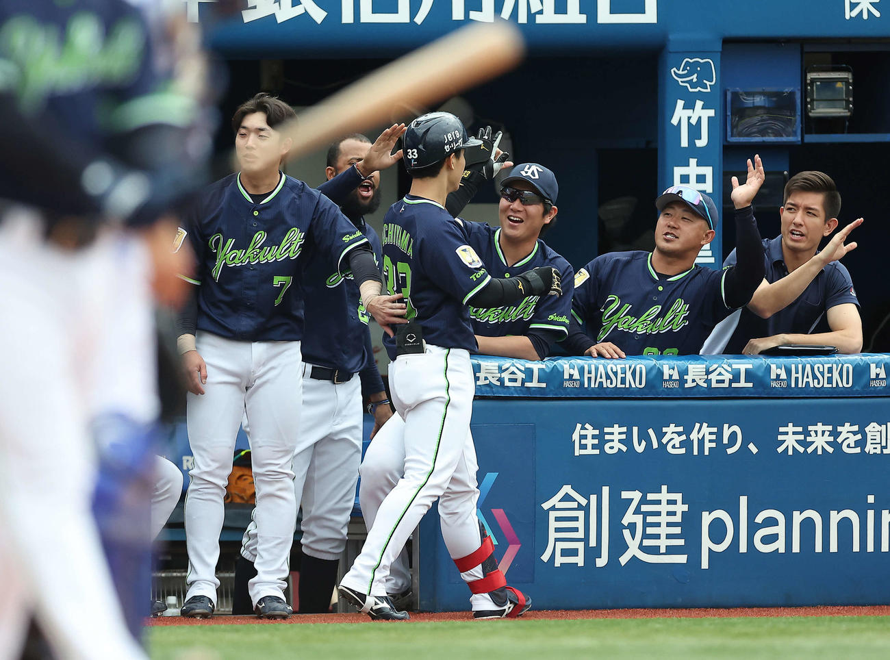 DeNA対ヤクルト　4回表ヤクルト2死一塁、左越え同点2点本塁打で生還し、ベンチナインに迎えられる内山（中央）（撮影・河田真司）
