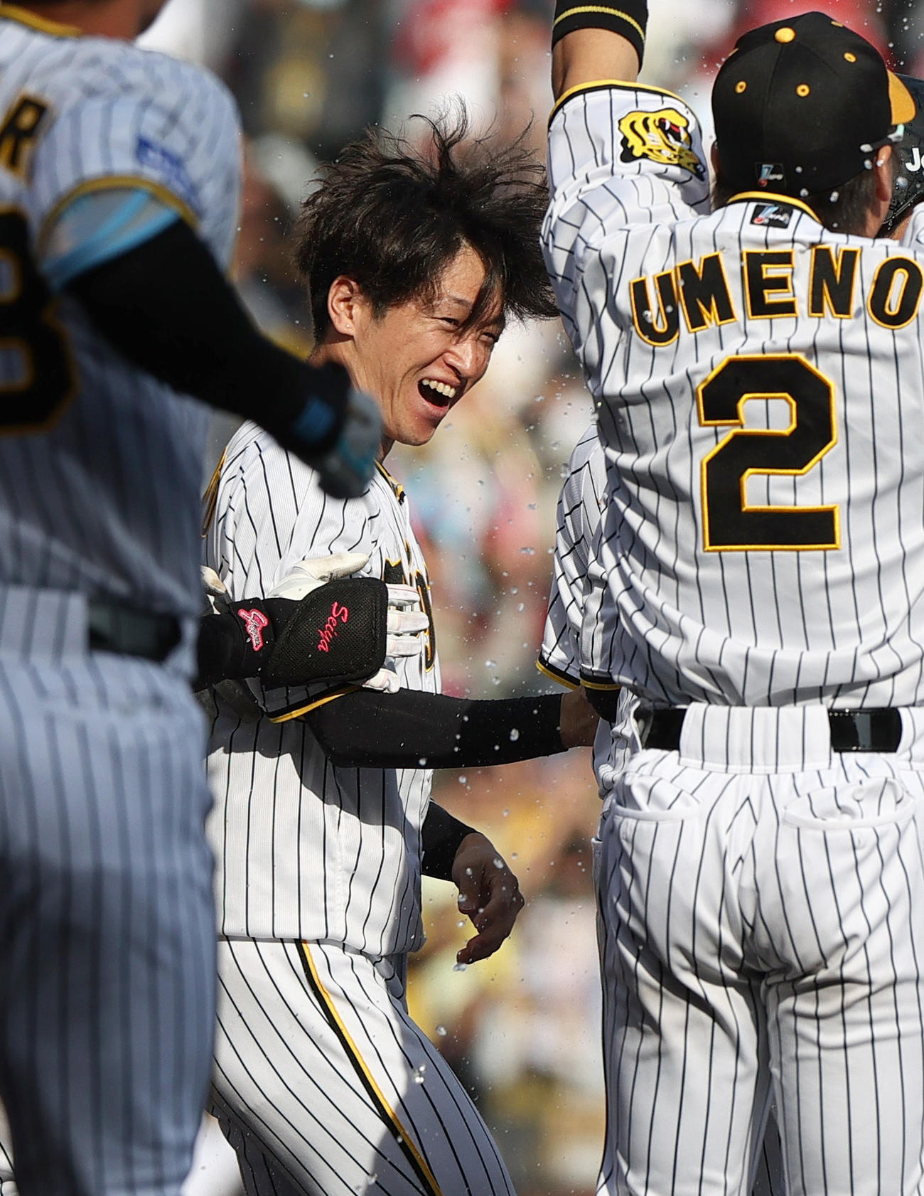 阪神対広島　サヨナラで勝利し、歓喜する阪神近本（撮影・上山淳一）