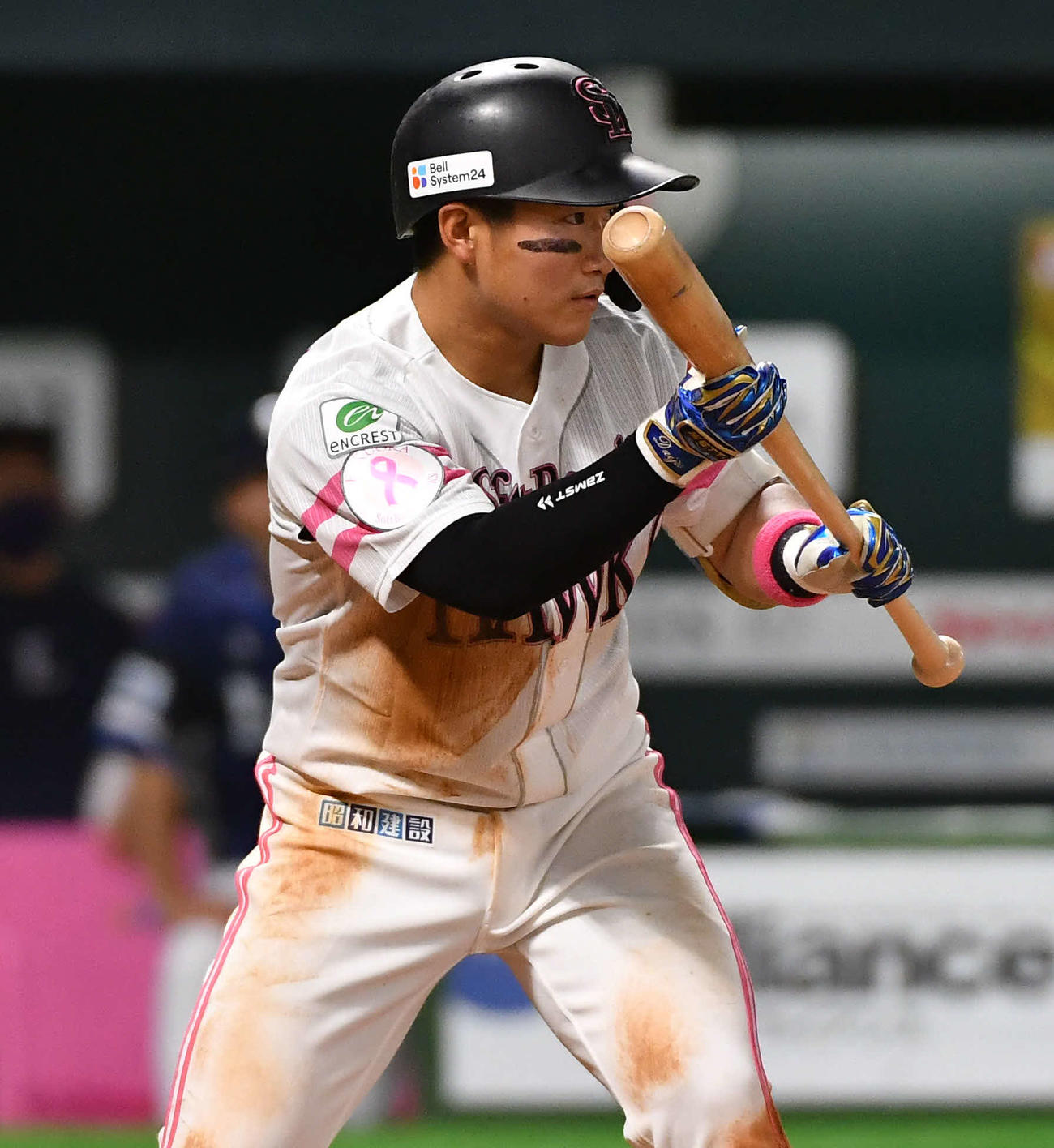 ソフトバンク対西武　7回裏ソフトバンク無死一塁、バントの構えを見せる野村大（撮影・岩下翔太）