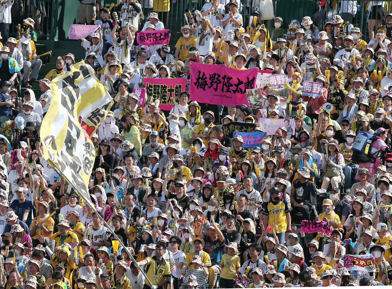 阪神対広島　4回に適時打を放った梅野を祝福する阪神ファン（撮影・上山淳一）