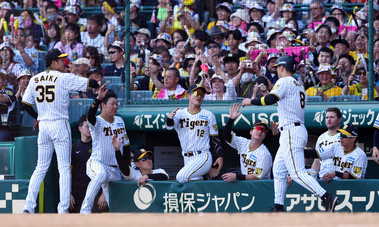 阪神対広島　4回裏阪神2死一、二塁、梅野の中前適時打で生還した佐藤輝（8）を出迎える阪神ナイン（撮影・藤尾明華）