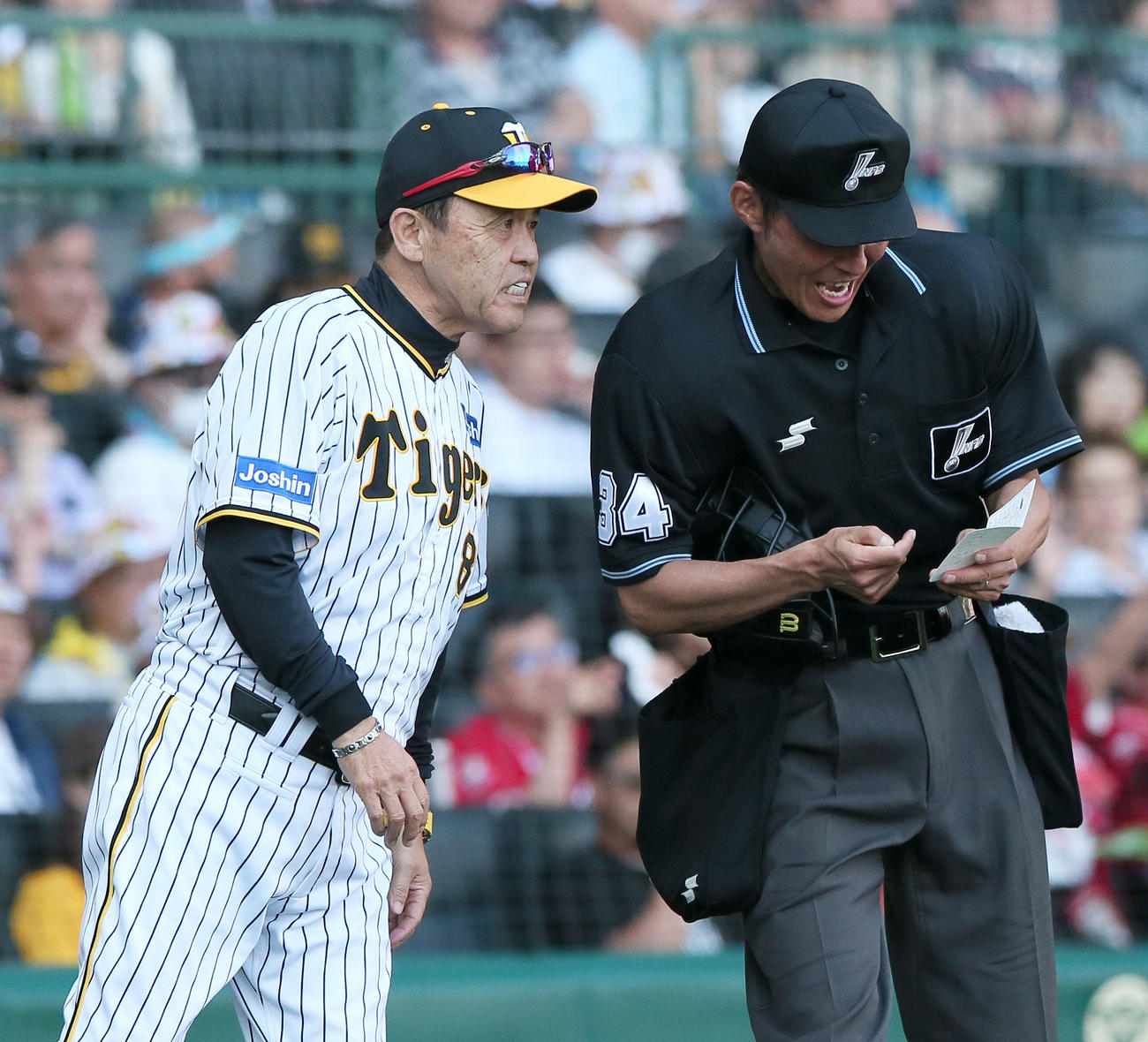 阪神対広島　7回表途中で阪神先発才木の交代を告げる岡田監督（撮影・上山淳一）
