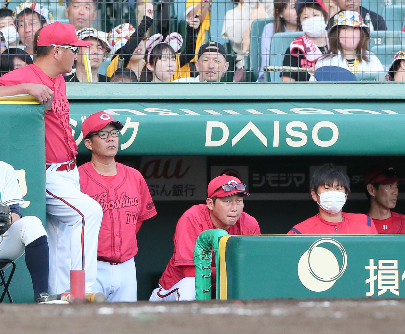 阪神対広島　9回表、広島新井監督（中央）はベンチからグラウンドを見つめる（撮影・上山淳一）