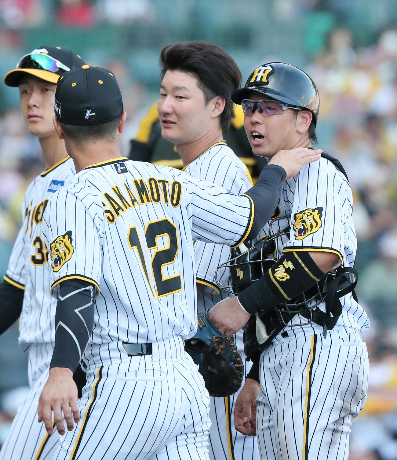 阪神対広島　広島に勝利し、阪神坂本（手前）らと喜ぶ梅野（右）（撮影・上山淳一）