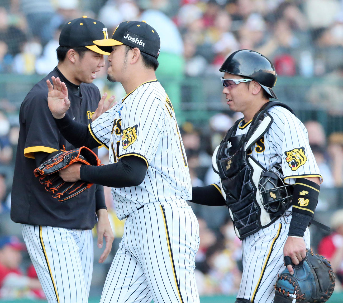 阪神対広島　8回表を終え、阪神才木（左）はベンチ前で岩貞（手前）と梅野を出迎える（撮影・上山淳一）