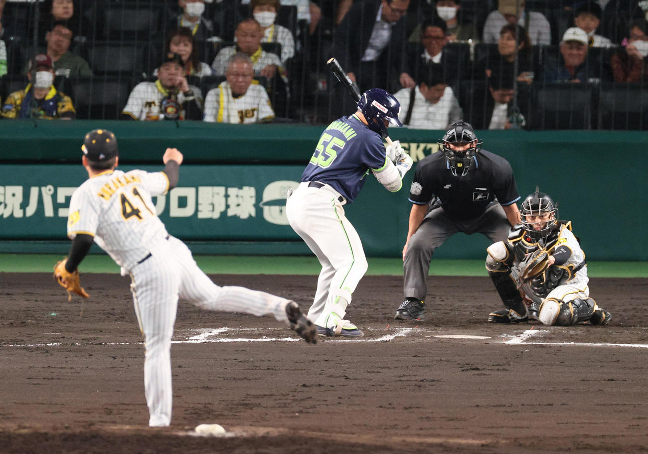 5月9日の阪神戦、ヤクルト村上は阪神村上に見逃し三振に封じられる（23年5月9日撮影）
