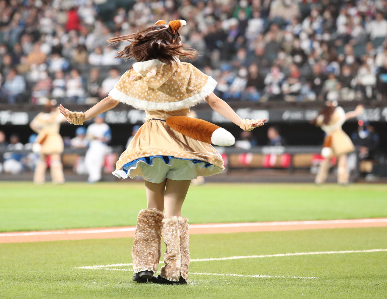 日本ハム対ソフトバンク　新コスチュームで「きつねダンス」を踊るファイターズガール（撮影・佐藤翔太）