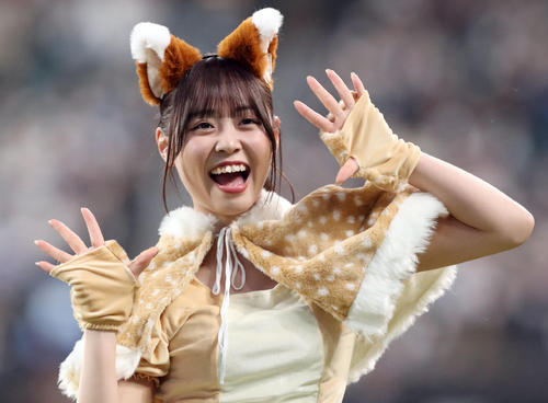 日本ハム対ソフトバンク 新コスチュームで「きつねダンス」を踊るファイターズガールの竹市琴美さん(撮影・佐藤翔太)