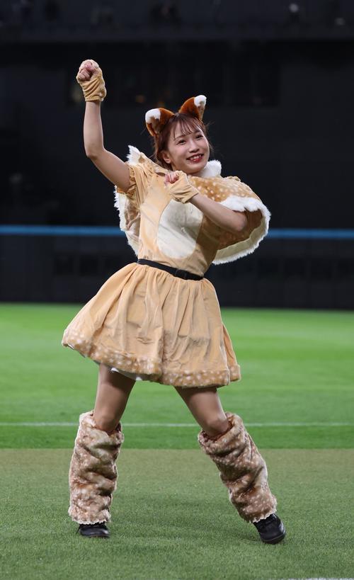 日本ハム対ソフトバンク きつねダンスの限定衣装を着て踊るファイターズガールの大西真帆さん(撮影・黒川智章)