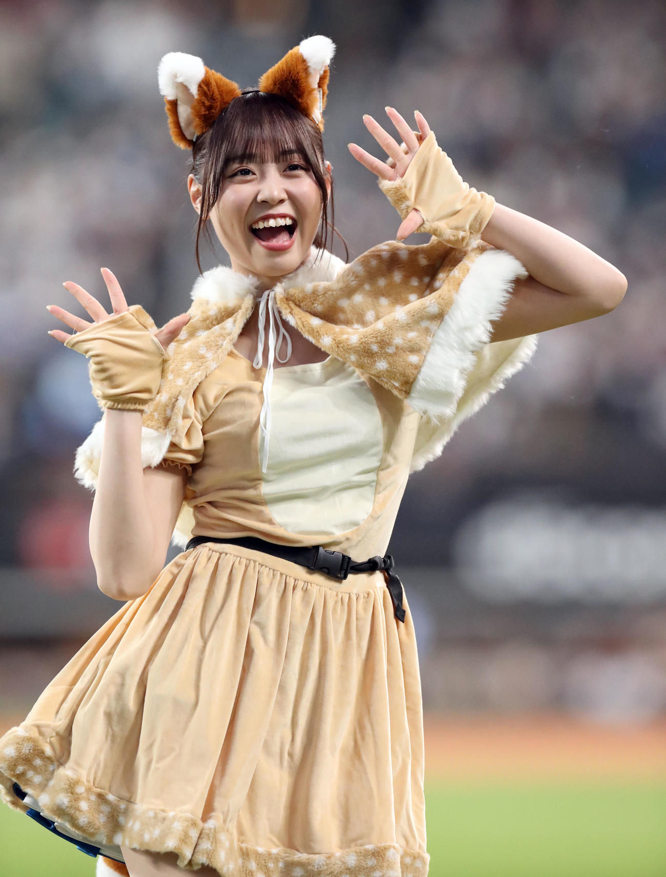 日本ハム対ソフトバンク　新コスチュームで「きつねダンス」を踊るファイターズガールの竹市琴美さん（撮影・佐藤翔太）
