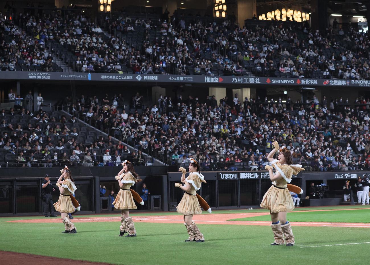 日本ハム対ソフトバンク　きつねダンスの限定衣装を着て踊るファイターズガール（撮影・黒川智章）
