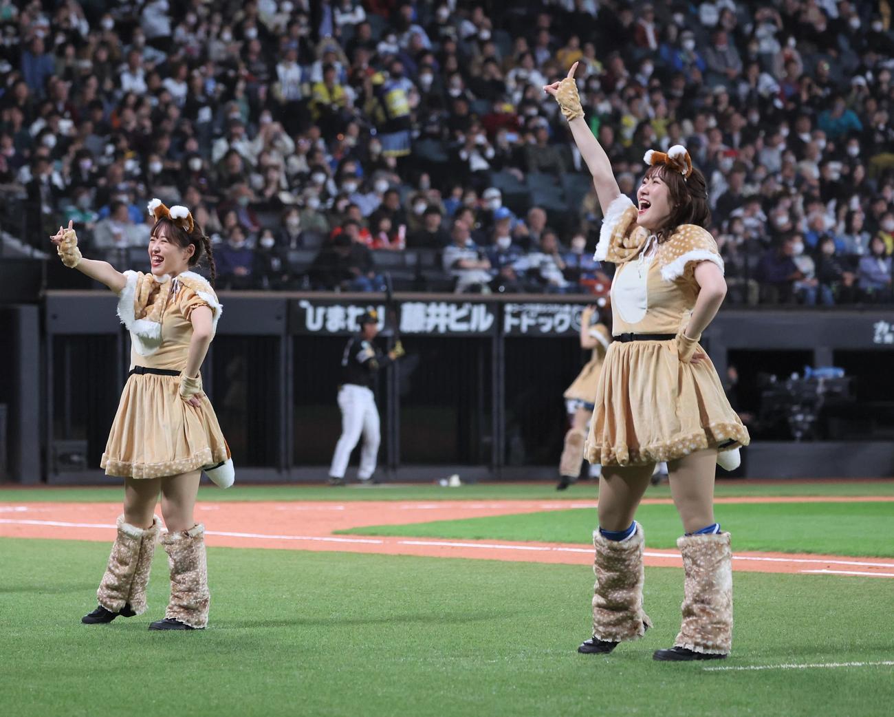 日本ハム対ソフトバンク　きつねダンスの限定衣装を着て踊るファイターズガールの鈴木穂乃花さんと田原悠希さん（撮影・黒川智章）