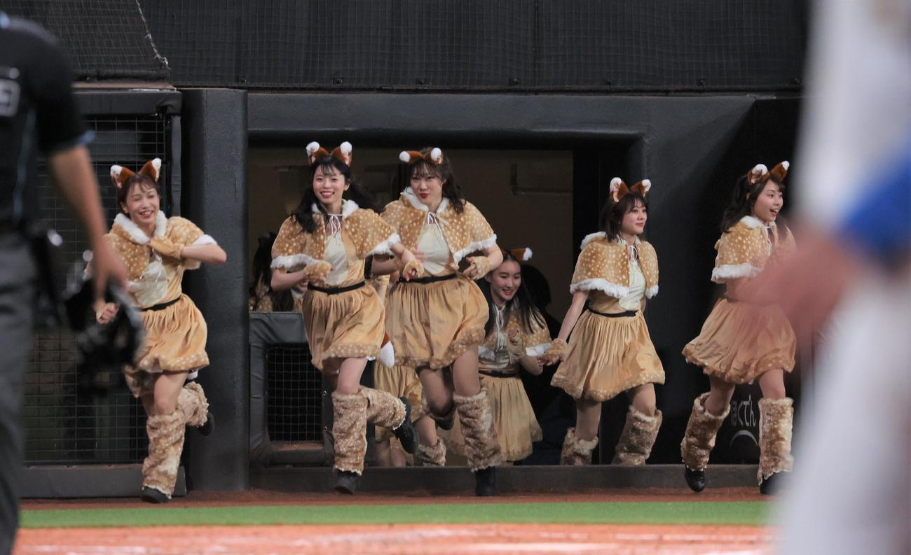 日本ハム対ソフトバンク　きつねダンスの限定衣装を着て飛び出すファイターズガール（撮影・黒川智章）