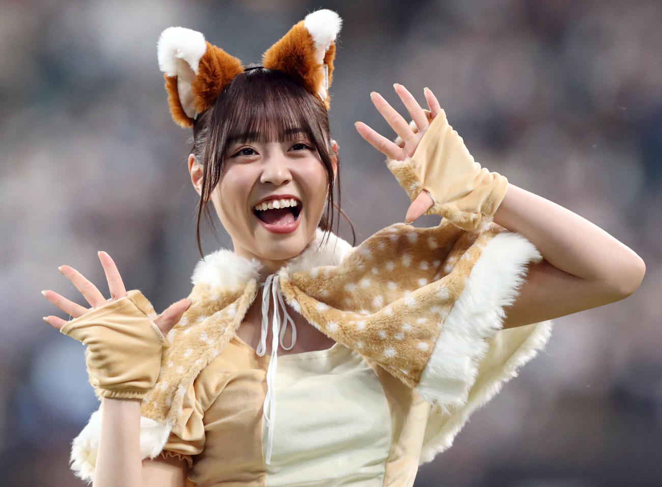 日本ハム対ソフトバンク　新コスチュームで「きつねダンス」を踊るファイターズガールの竹市琴美さん（撮影・佐藤翔太）