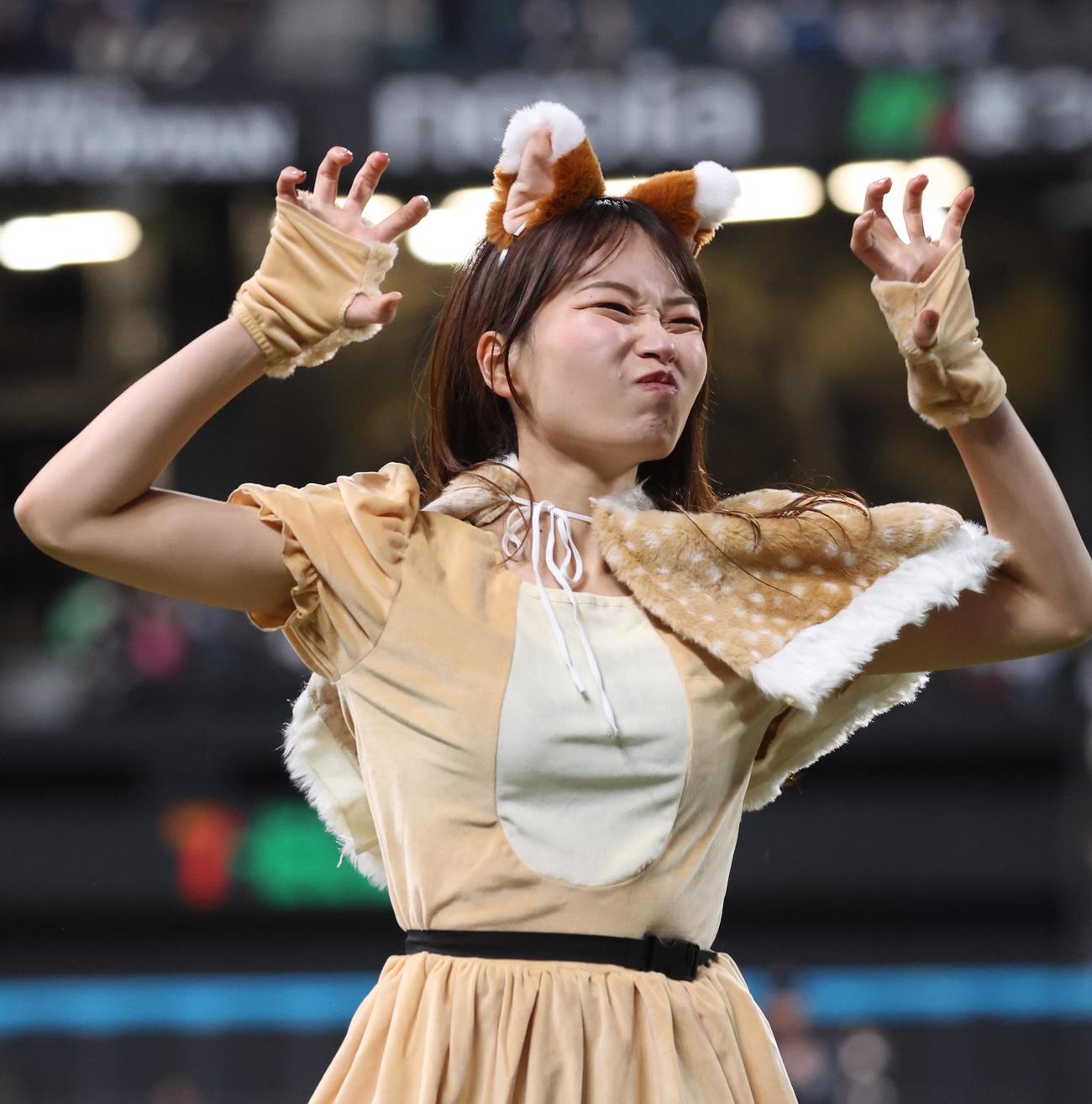日本ハム対ソフトバンク　きつねダンスを踊るファイターズガールの辻菜穂子さん（撮影・黒川智章）