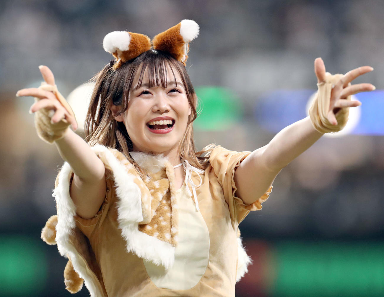 日本ハム対ソフトバンク　新コスチュームで「きつねダンス」を踊るファイターズガールの讃岐花笑さん（撮影・佐藤翔太）