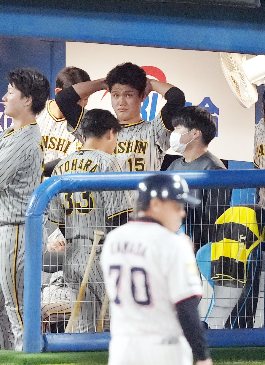ヤクルト対阪神　7回裏途中、降板し、ベンチで頭を抱え悔しがる西純矢（撮影・狩俣裕三）