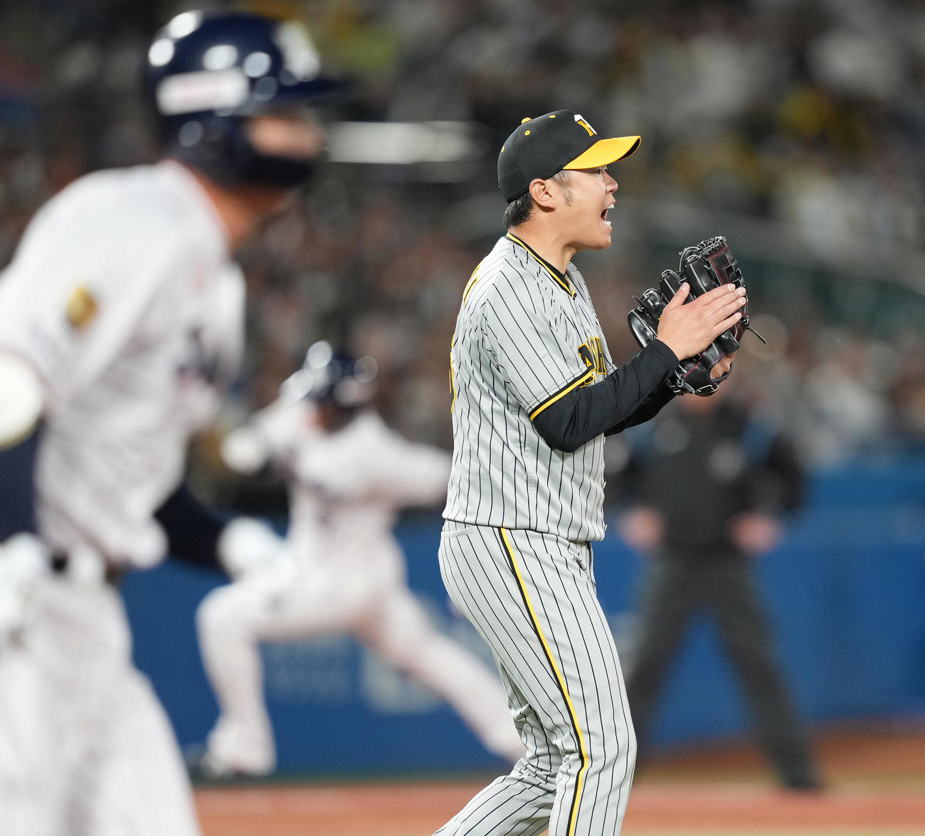 ヤクルト対阪神　6回裏ヤクルト2死満塁、代打太田の二ゴロを確信し、ほえる西勇輝（撮影・鈴木みどり）