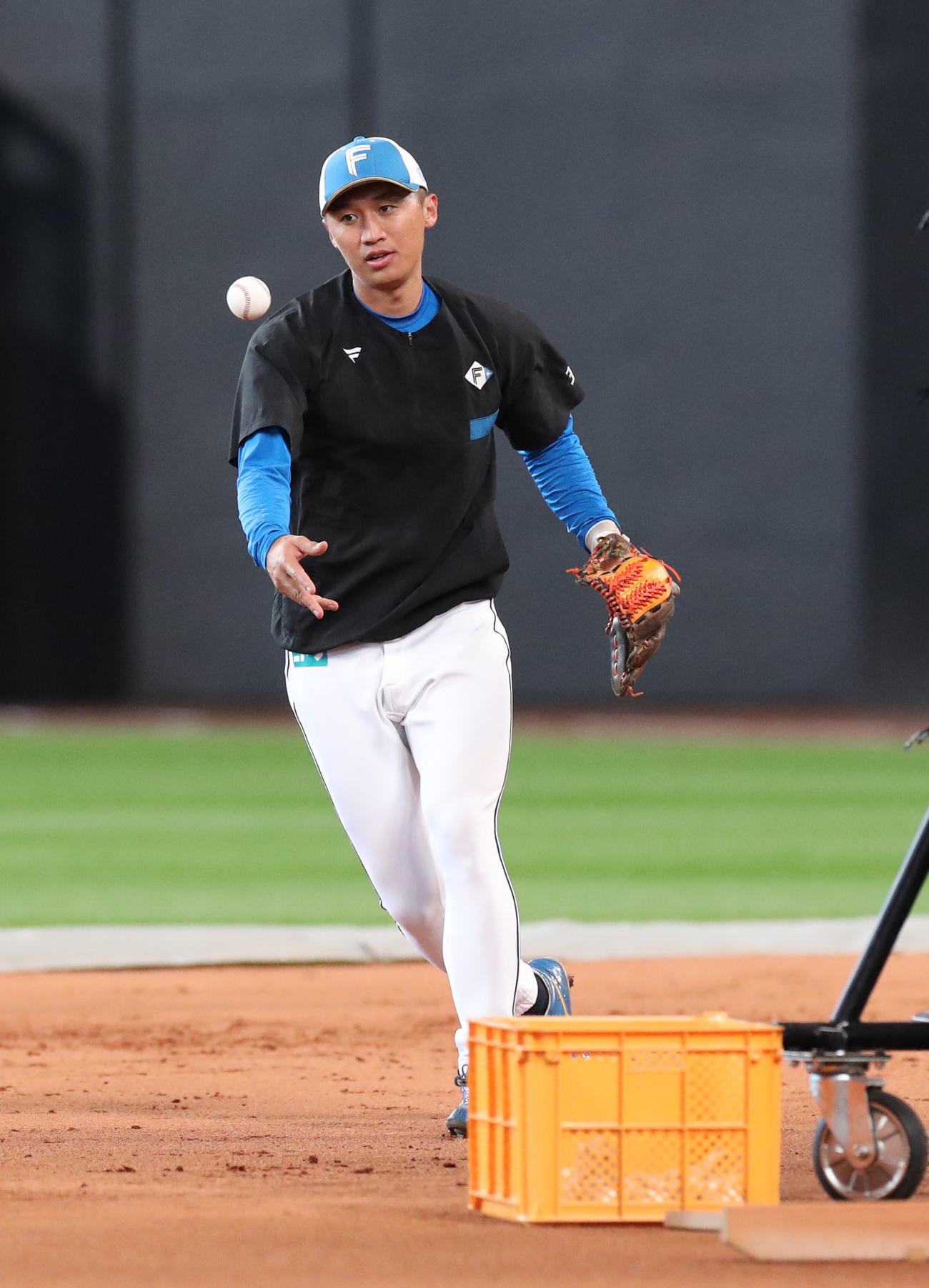日本ハム対ソフトバンク　守備練習をする日本ハム加藤豪（撮影・佐藤翔太）