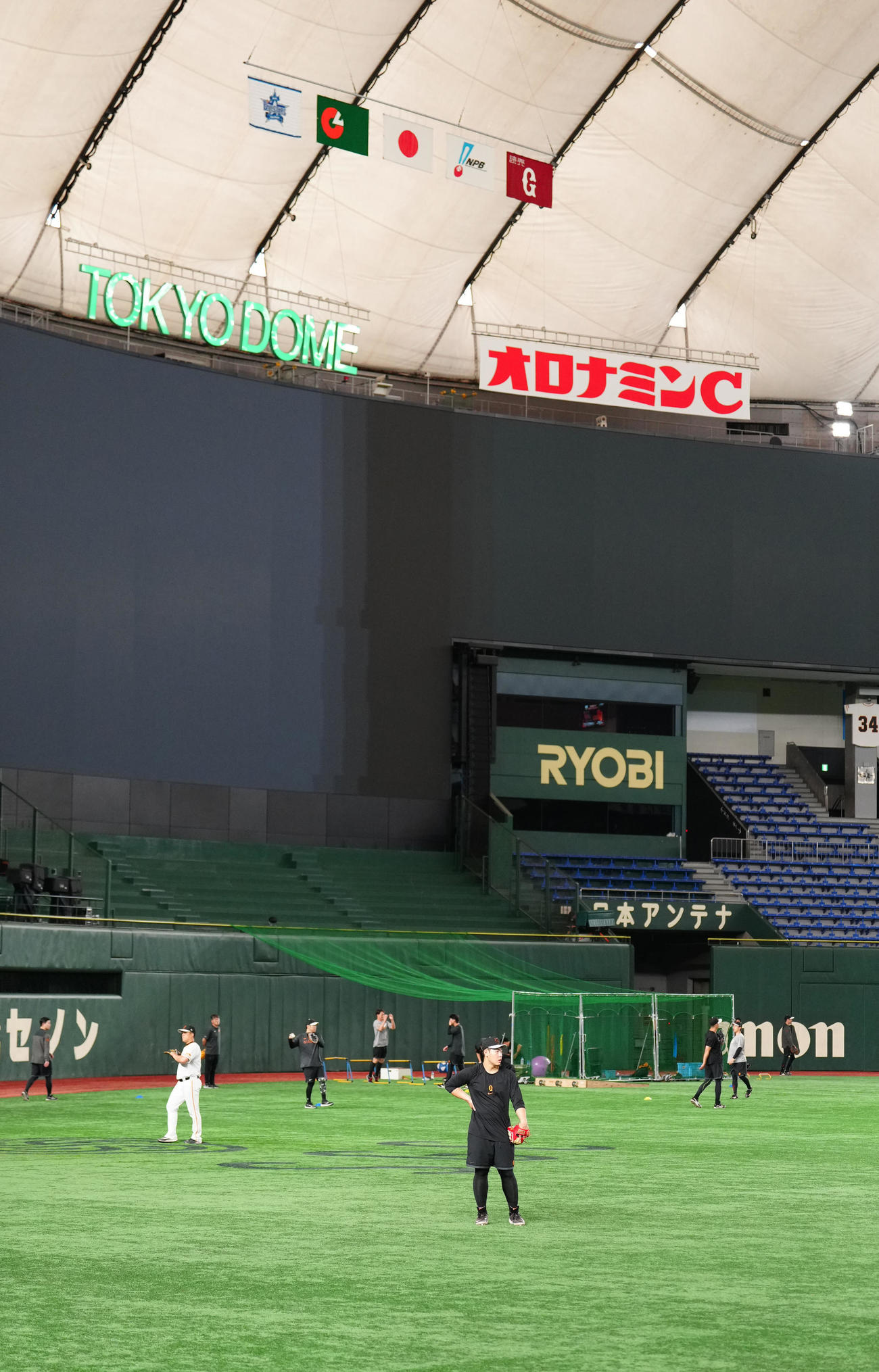 巨人対DeNA　試合前、左翼で守備練習を行う巨人岡本和（撮影・江口和貴）