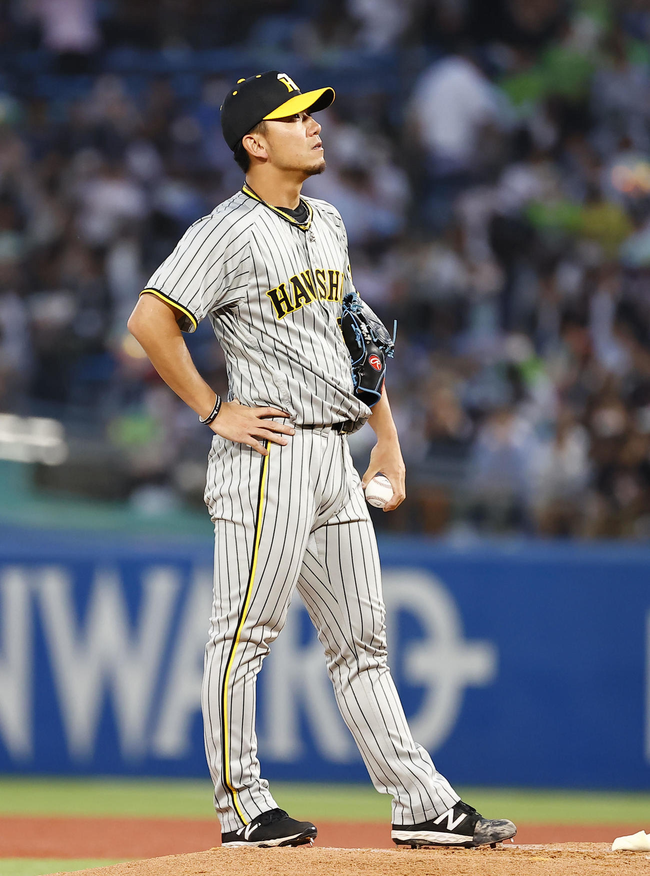 阪神対ヤクルト　2回裏ヤクルト1死満塁、長岡に押し出しの死球を与えた阪神伊藤将（撮影・藤尾明華）