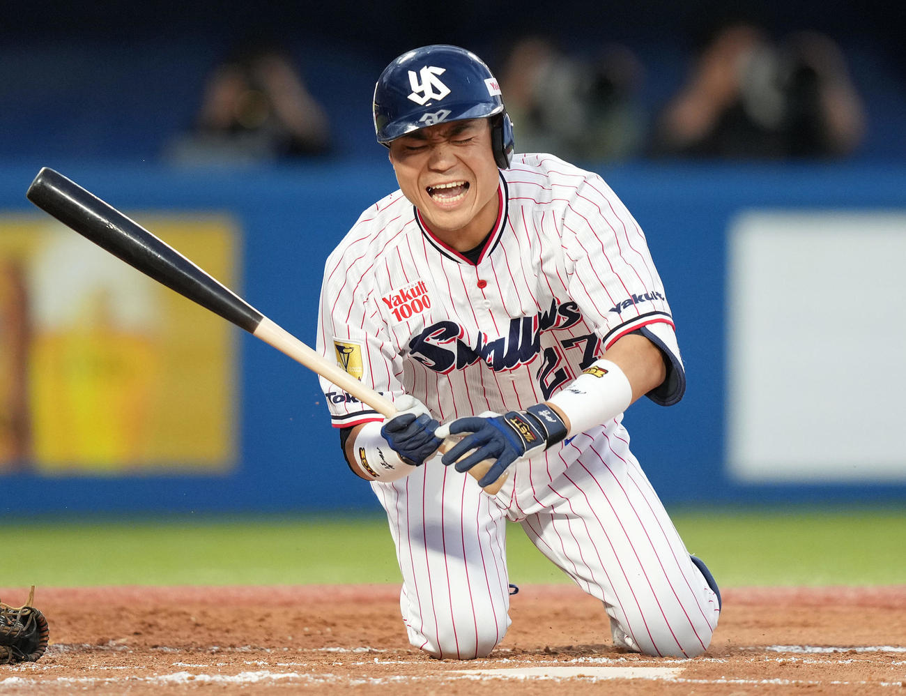 ヤクルト対阪神　2回裏ヤクルト1死二、三塁、左足に死球を受け痛がる中村（撮影・鈴木みどり）