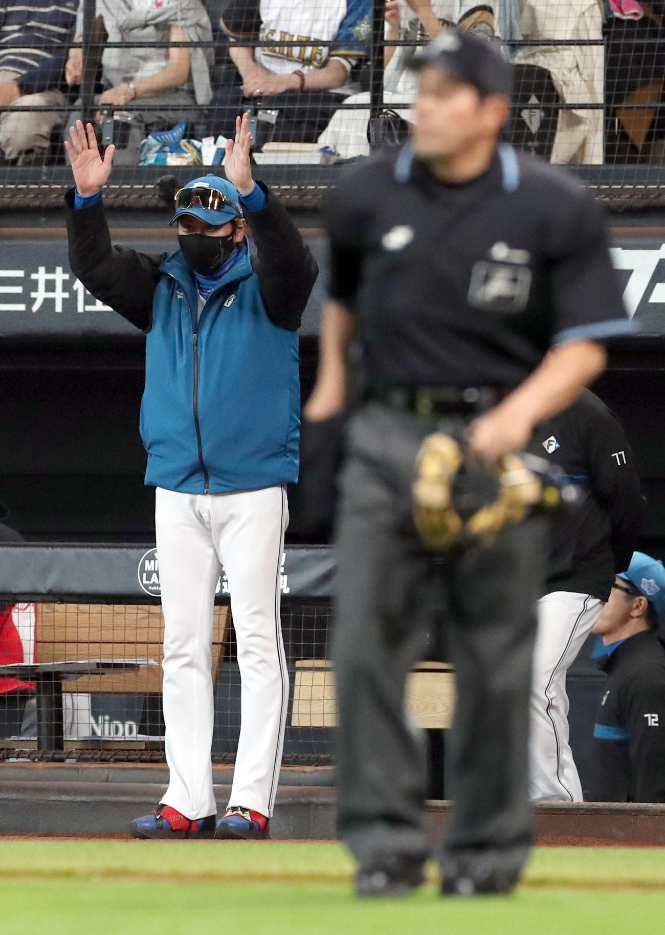 日本ハム対ソフトバンク　2回裏日本ハム無死、加藤豪の中前打を放ったボールを回収する新庄監督（撮影・佐藤翔太）